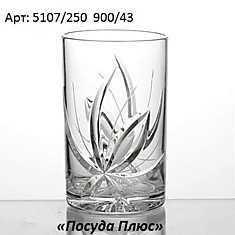 NEMAN Набор из 6 хрустальных стаканов (арт. 5107/250 (900/43)